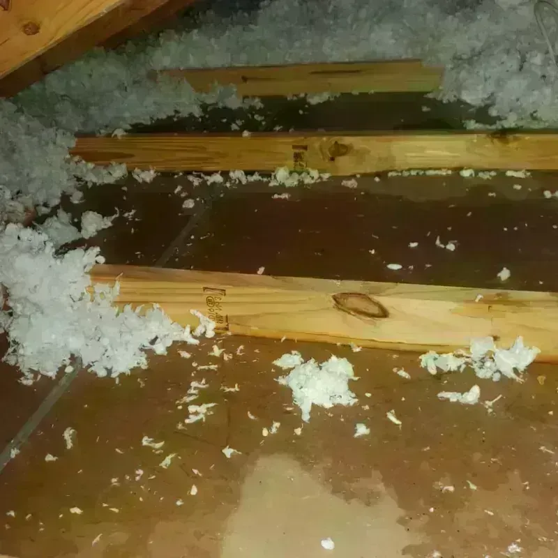 Attic Water Damage in Rochester, IN