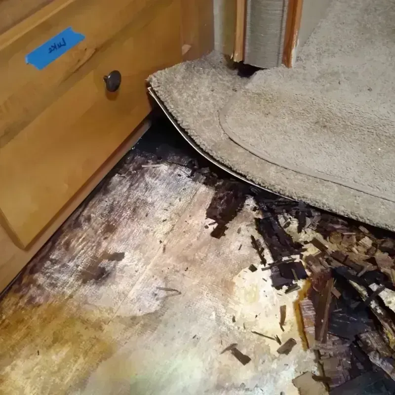 Best Wood Floor Water Damage Service in Rochester, IN